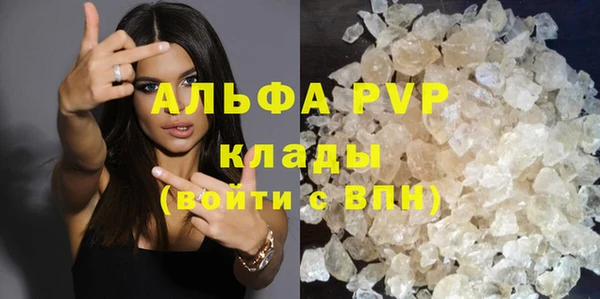 PSILOCYBIN Кукмор