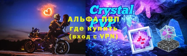 PSILOCYBIN Кукмор