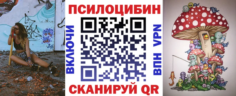 Галлюциногенные грибы Psilocybe  закладка  Малгобек 