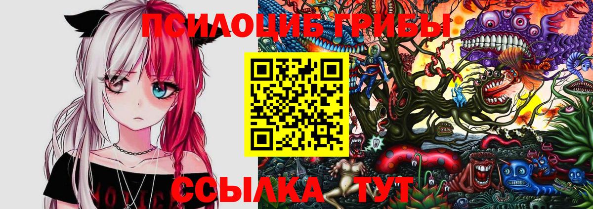 Малгобек  магазин продажи наркотиков  Вход с VPN  Псилоцибиновые грибы GOLDEN TEACHER 