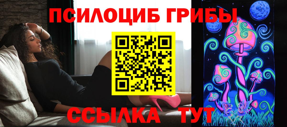 Галлюциногенные грибы Psilocybine cubensis Малгобек