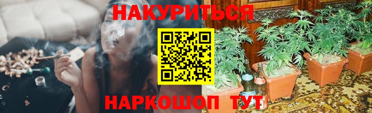 Канабис Bruce Banner Малгобек